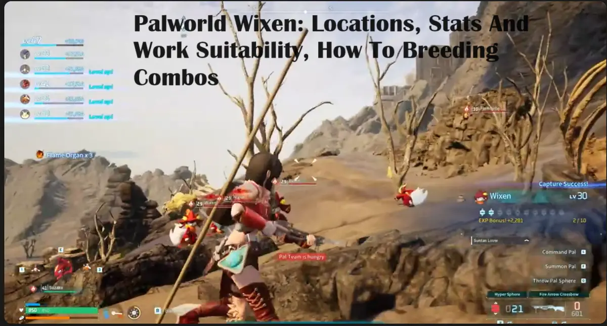 Palworld Wixen Locations, Stats And Work Suitability, How To Breeding Combos